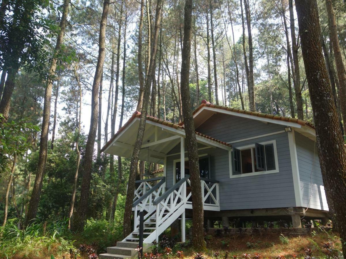 The Pine Forest Villas Puncak Exterior photo